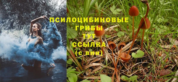 соль курить ск Костерёво