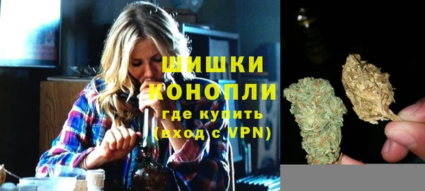 твердый Корсаков