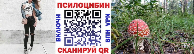 kraken зеркало  Невельск  Псилоцибиновые грибы MAGIC MUSHROOMS 